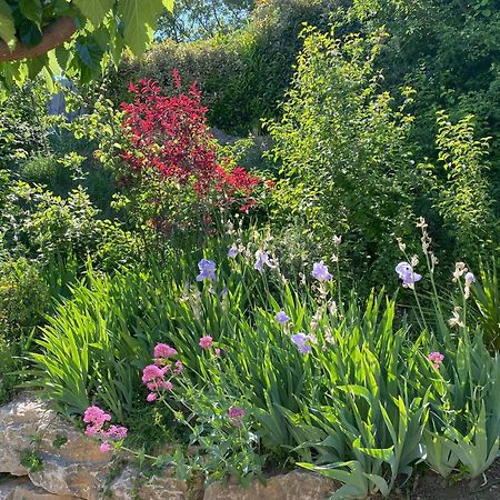 아우비그난 Le Jardin De Lau 빌라 외부 사진