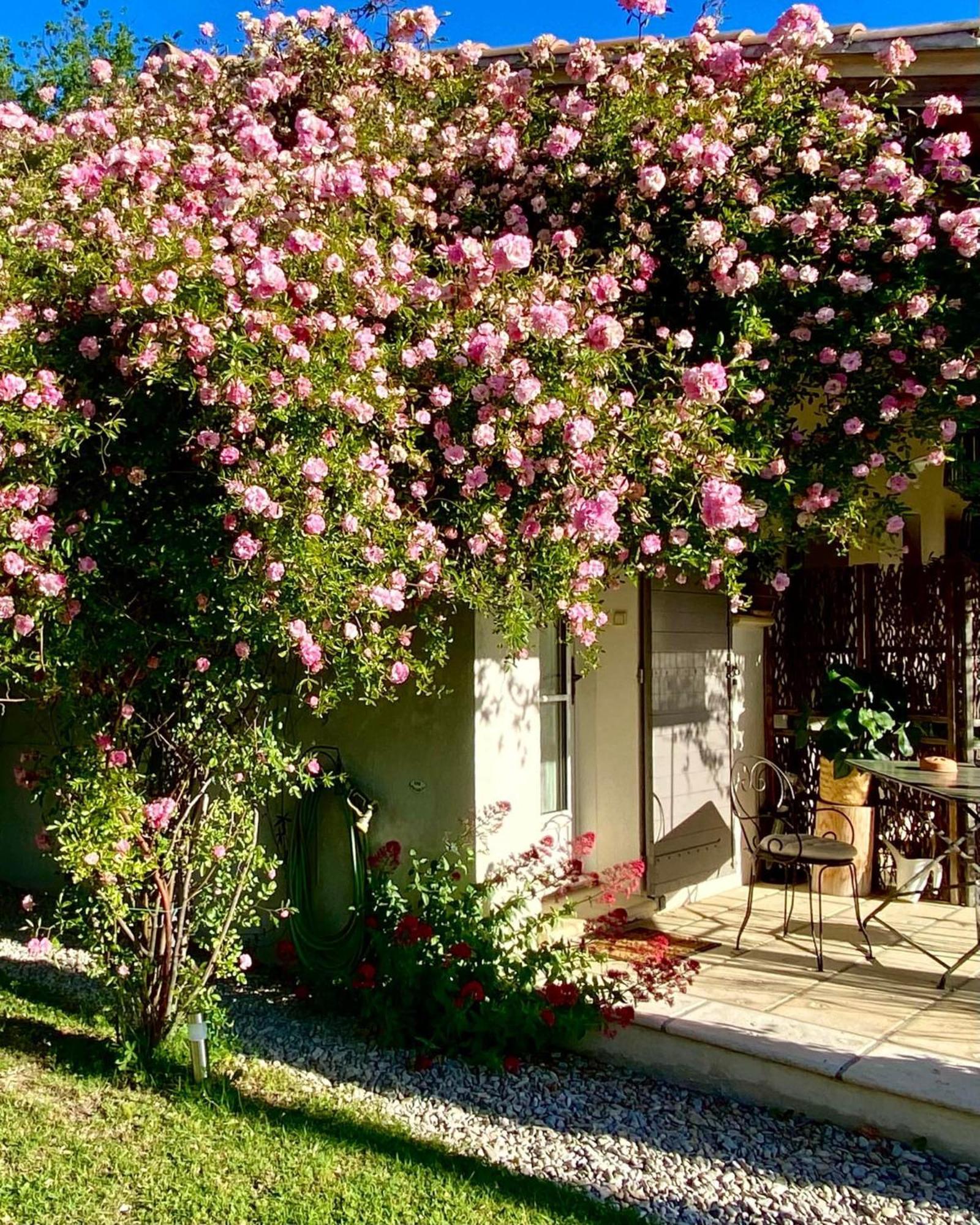 아우비그난 Le Jardin De Lau 빌라 외부 사진